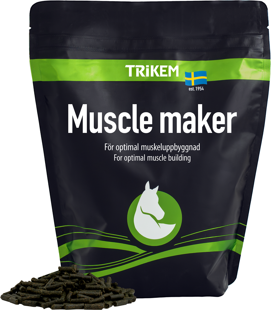 MuscleMaker_1000g_1899000_prod.webp