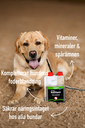MultiVitamin.webp