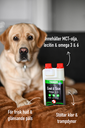 Coat & Skin.webp