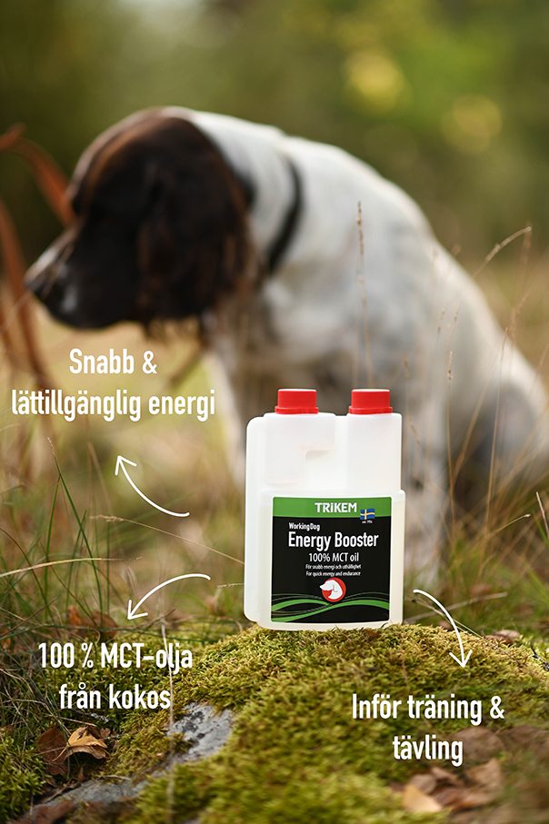 Energy Boost.webp