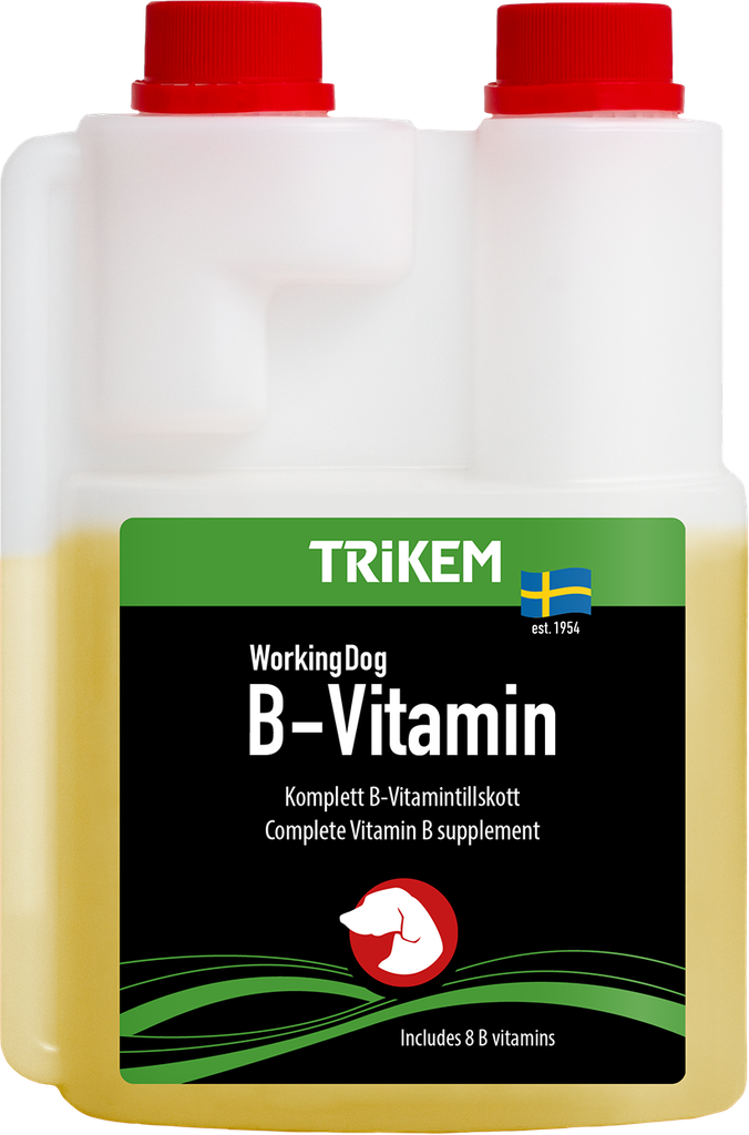 WorkingDog B-Vitamin