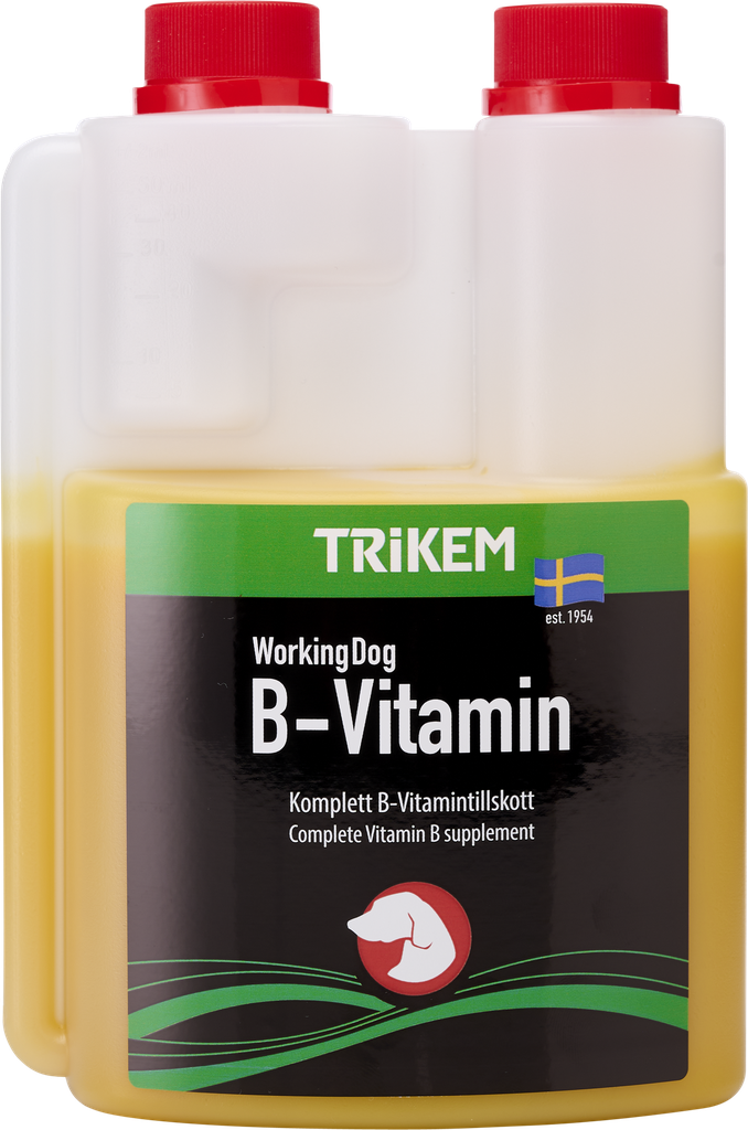 WorkingDog B-Vitamin