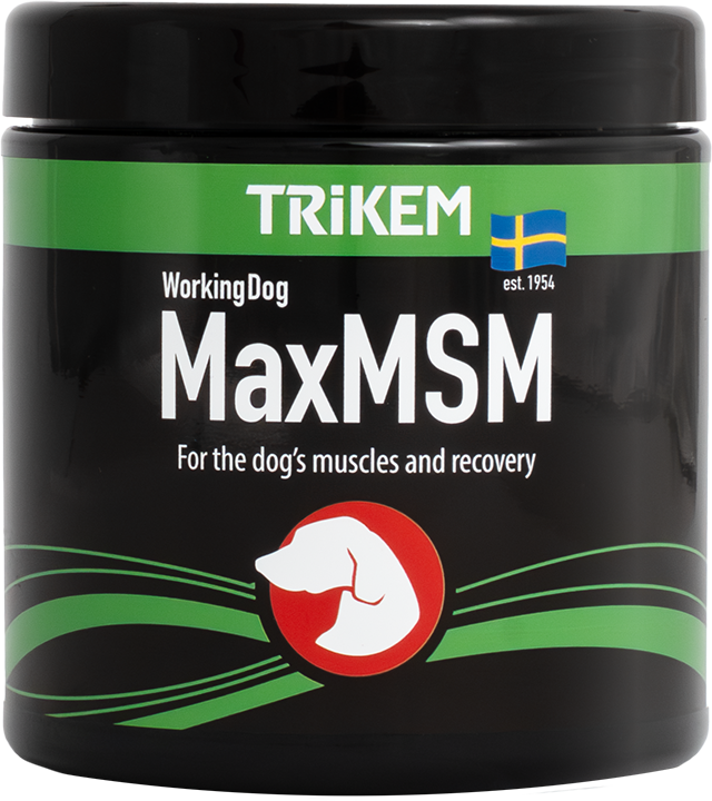 WorkingDog MSM+ 450g