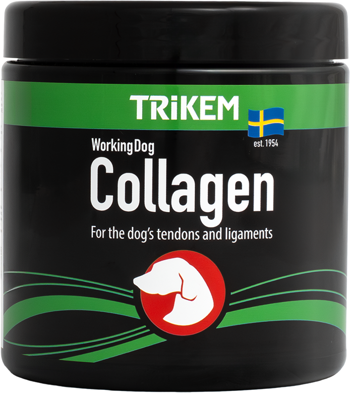 [1869000] WorkingDog Collagen 350 g