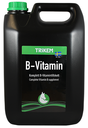 vimital b vitamin